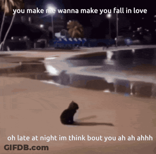 A Cat Sitting On The Ground With The Words You Make Me Wanna Make You Fall In Love On The Bottom GIF
