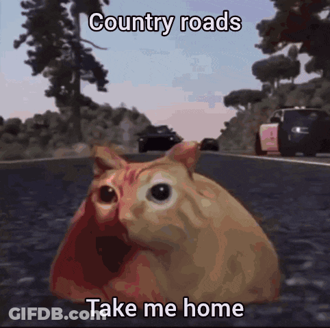 A Cat Sitting On The Side Of A Road With The Words Country Roads Take Me Home GIF