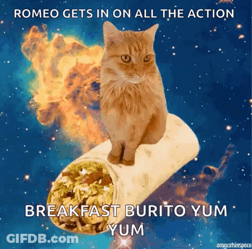 A Cat Sitting On Top Of A Burrito That Says Romeo Gets In On All The Action Breakfast Burrito Yum Yum Yum GIF