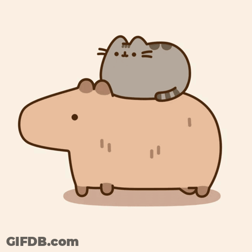 A Cat Sitting On Top Of A Capybara GIF