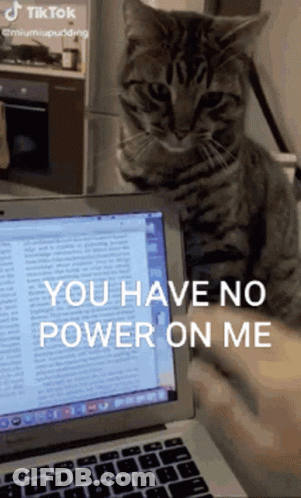 A Cat Sitting On Top Of A Laptop With The Words You Have No Power On Me GIF