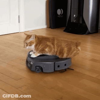 A Cat Sitting On Top Of A Vacuum Cleaner GIF