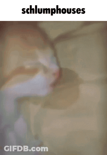 A Cat Sleeping On A Bed With The Words Schlumphouses Below It GIF