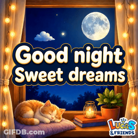 A Cat Sleeping On A Pillow In Front Of A Window With The Words Good Night Sweet Dreams Above It GIF