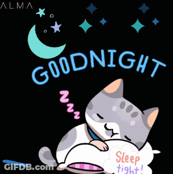 A Cat Sleeping On A Pillow With The Words Goodnight And Bedtime Written Below It GIF