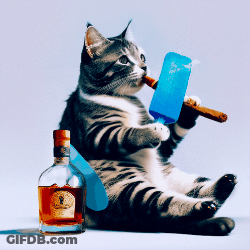 A Cat Smoking A Cigar Next To A Bottle Of Scotch GIF