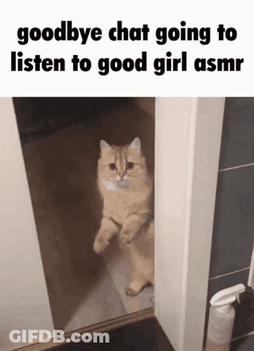 A Cat Standing In A Doorway With The Words Goodbye Chat Going To Listen To Good Girl Asmr Below It GIF