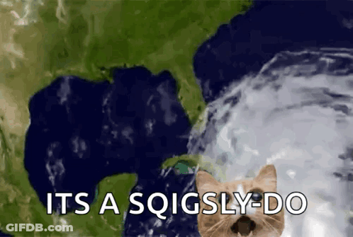 A Cat Standing In Front Of A Hurricane With The Words It 'S A Sqigsly-Do GIF