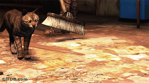 A Cat Standing Next To A Person Holding A Broom On A Messy Floor GIF