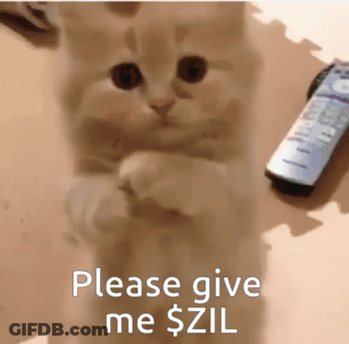 A Cat Standing On Its Hind Legs Next To A Remote Control That Says Please Give Me Zil GIF