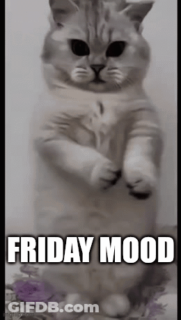 A Cat Standing On Its Hind Legs With The Words `` Friday Mood '' Written On It . GIF