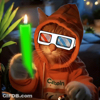 A Cat Wearing 3D Glasses And A Catcoin Hoodie Holds A Green Candle GIF