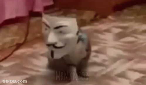 A Cat Wearing A Anonymous Mask Is Walking On A Floor . GIF