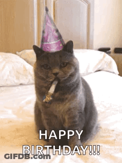 A Cat Wearing A Birthday Hat Is Sitting On A Bed With A Party Horn In Its Mouth . GIF