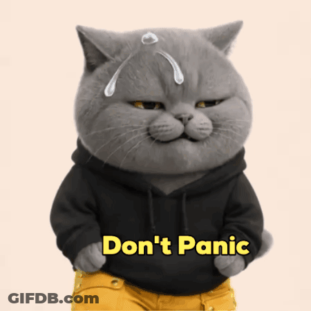 A Cat Wearing A Black Hoodie And Yellow Pants Says " Don 'T Panic " GIF
