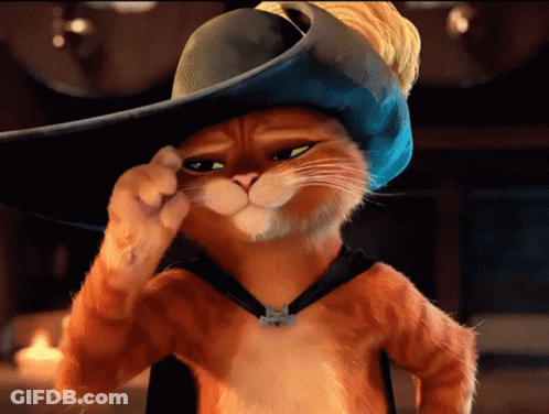 A Cat Wearing A Blue Hat And A Necklace With A Cat On It 'S Neck GIF
