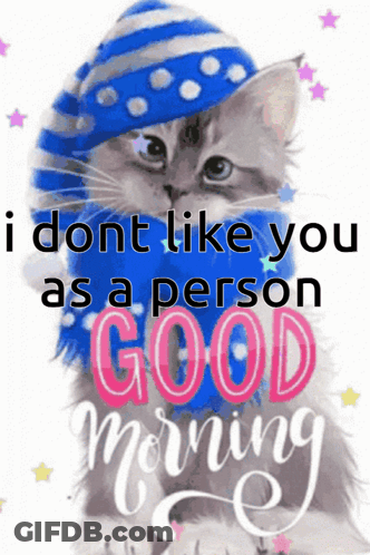 A Cat Wearing A Blue Hat And Scarf With The Words " I Dont Like You As A Person Good Morning " GIF