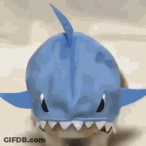 A Cat Wearing A Blue Shark Costume With Sharp Teeth GIF