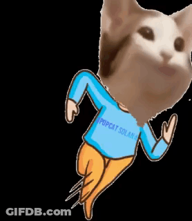 A Cat Wearing A Blue Shirt That Says Popcat Solar On It GIF