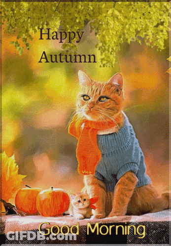 A Cat Wearing A Blue Sweater And Scarf Is Sitting Next To A Kitten And Pumpkins And Says Happy Autumn Good Morning GIF