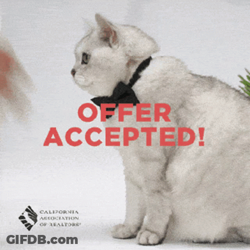 A Cat Wearing A Bow Tie Is Being Offered An Accepted Offer From The California Association Of Realtors GIF