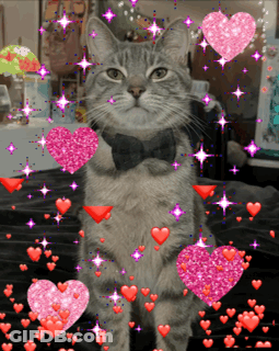 A Cat Wearing A Bow Tie Surrounded By Pink Hearts GIF