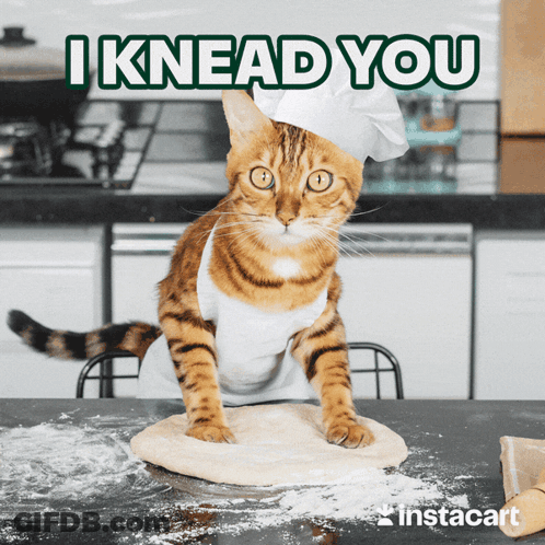 A Cat Wearing A Chef 'S Hat And Apron Is Kneading Dough On A Table GIF