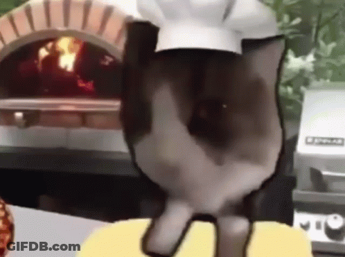 A Cat Wearing A Chef 'S Hat And Apron Is Standing In Front Of An Oven . GIF