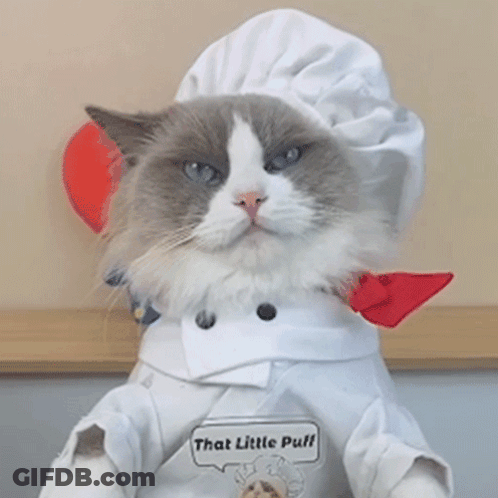 A Cat Wearing A Chef 'S Hat And Apron With A Sign That Says That Little Puff GIF