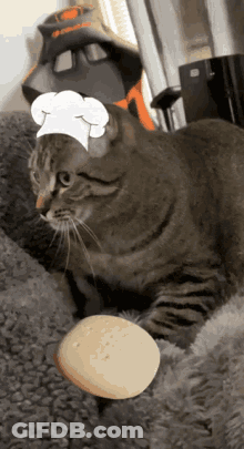 A Cat Wearing A Chef 'S Hat Is Holding An Egg GIF