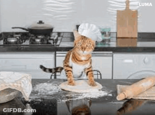 A Cat Wearing A Chef 'S Hat Is Standing On A Piece Of Dough On A Kitchen Counter . GIF