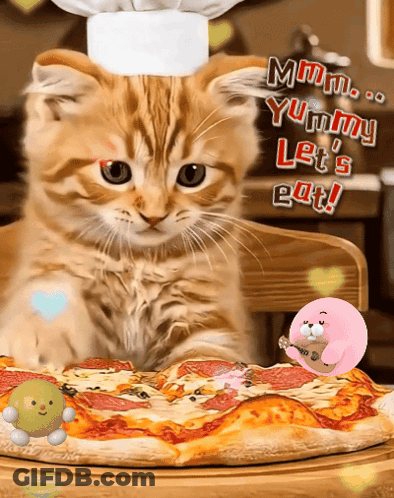 A Cat Wearing A Chef 'S Hat Looks At A Pizza GIF