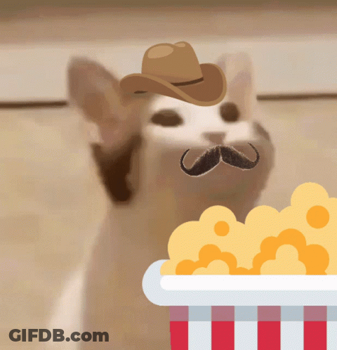 A Cat Wearing A Cowboy Hat And A Mustache Eating Popcorn GIF