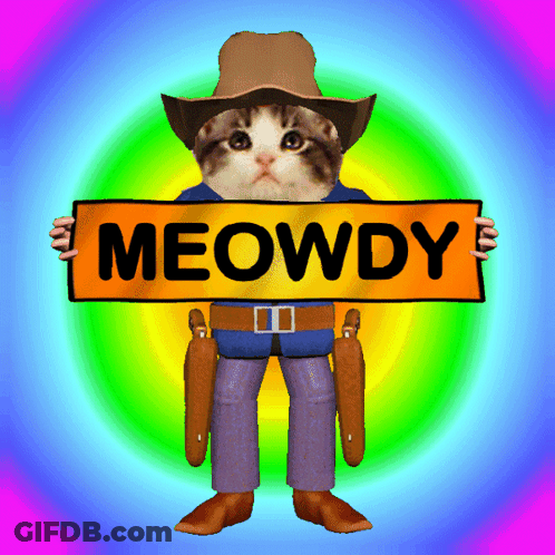 A Cat Wearing A Cowboy Hat Holds A Sign That Says Meowdy GIF
