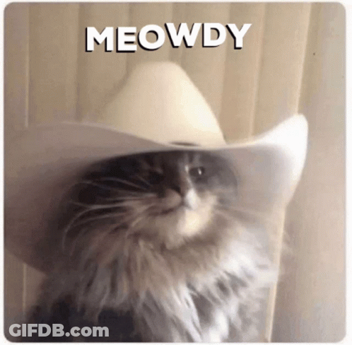 A Cat Wearing A Cowboy Hat With The Word Meowdy Written Above It GIF