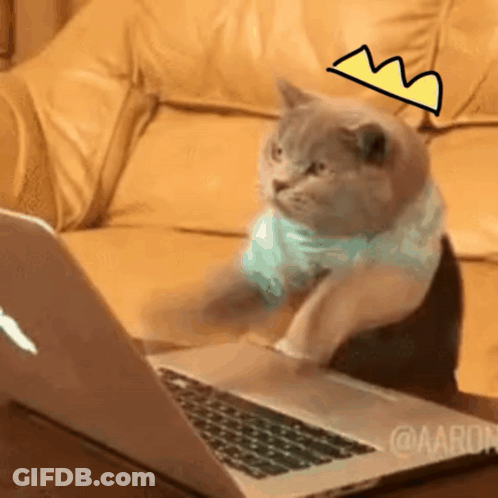 A Cat Wearing A Crown Is Using A Laptop Computer GIF
