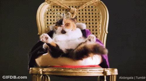 A Cat Wearing A Crown Sits On A Throne GIF