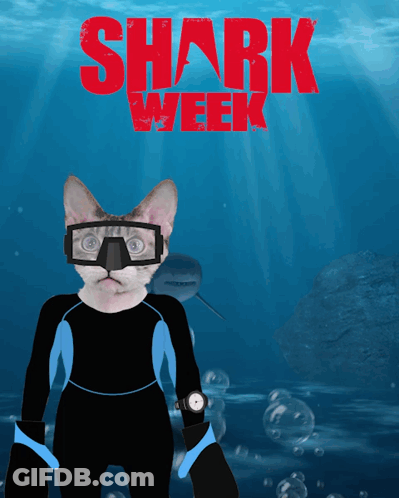 A Cat Wearing A Diving Suit And Goggles With The Words Shark Week Written Above It GIF
