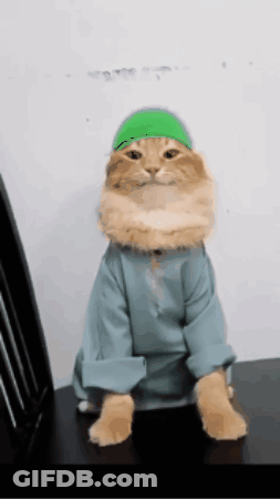 A Cat Wearing A Green Hat And A Blue Shirt Sits On A Chair GIF