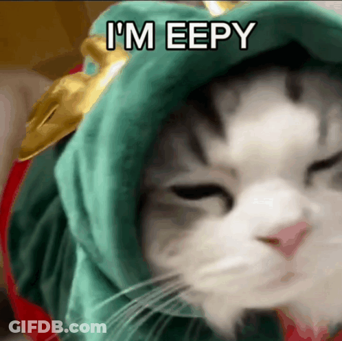 A Cat Wearing A Green Hat With The Words I 'M Eepy Written On It GIF