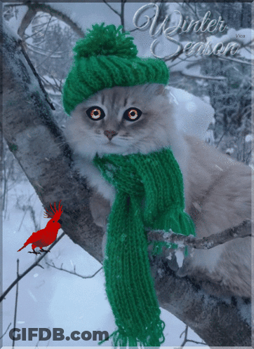 A Cat Wearing A Green Scarf And A Green Hat Is Sitting On A Snowy Branch GIF