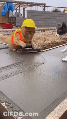 A Cat Wearing A Hard Hat And Safety Vest Is Laying On The Ground GIF