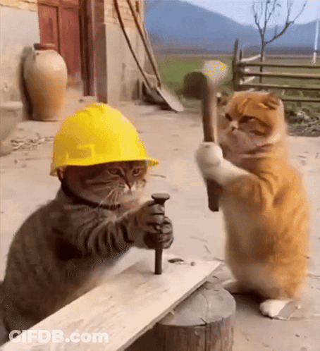 A Cat Wearing A Hard Hat Is Hammering A Nail Into Another Cat 'S Head GIF