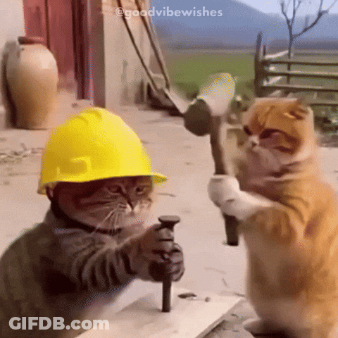 A Cat Wearing A Hard Hat Is Holding A Nail And A Hammer GIF