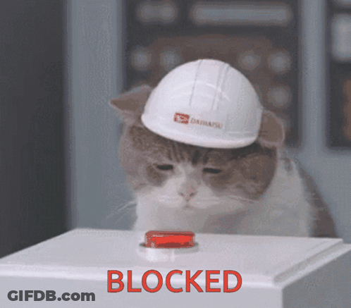 A Cat Wearing A Hard Hat Is Looking At A Blocked Button GIF