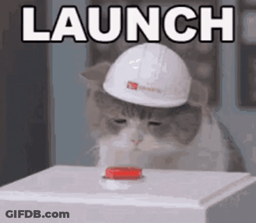 A Cat Wearing A Hard Hat Is Pressing A Button And The Word Launch Is Above It . GIF