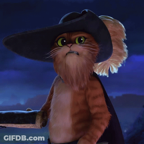A Cat Wearing A Hat And A Cape Is Asking If He Is Still Alive GIF