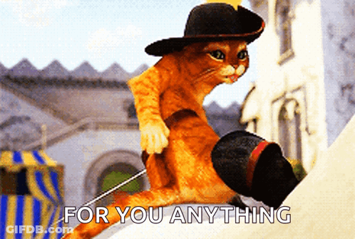 A Cat Wearing A Hat And Boots With The Words For You Anything Above It GIF