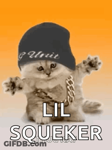A Cat Wearing A Hat And Chains With The Words `` Lil Squeker '' Written Below It . GIF