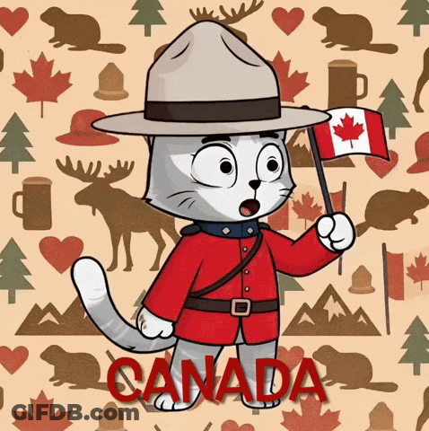 A Cat Wearing A Hat And Holding A Canadian Flag With The Word Canada Underneath It GIF